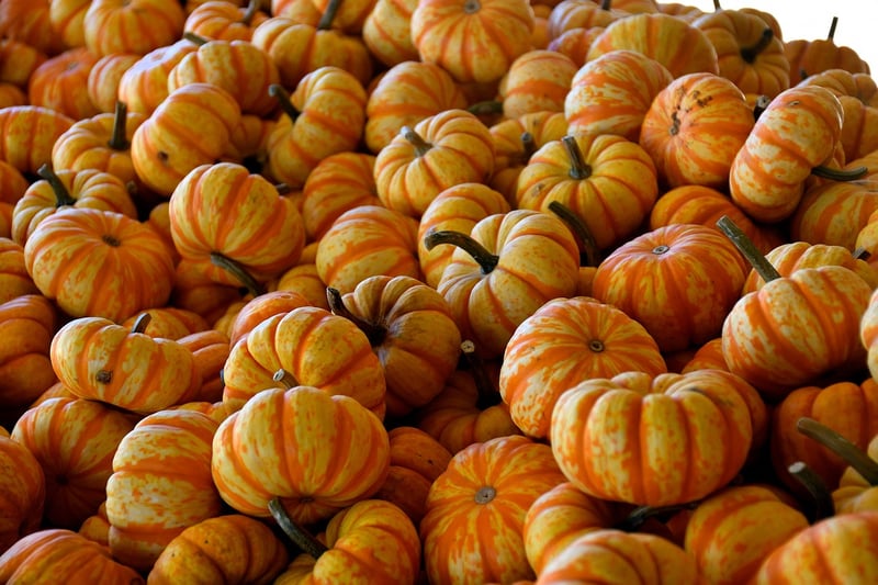 Gourd Art