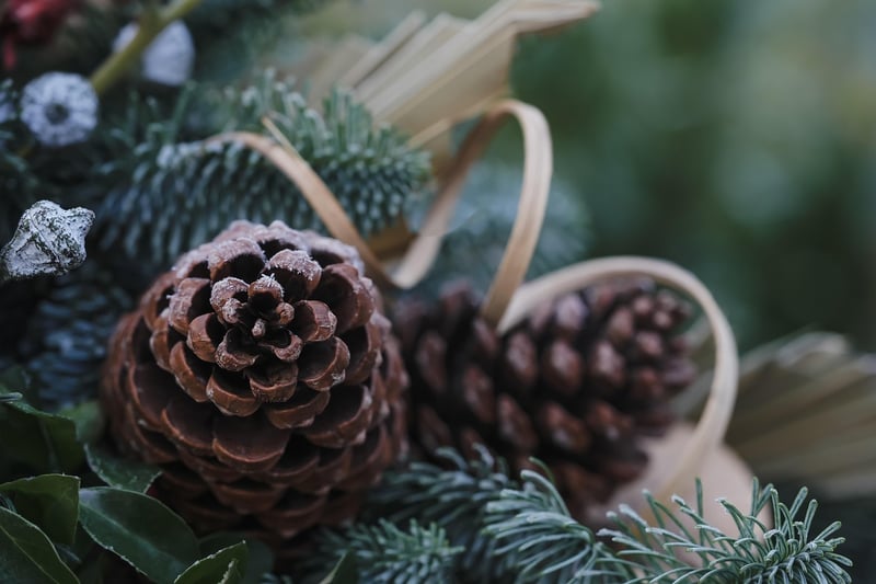 Pinecone Decor