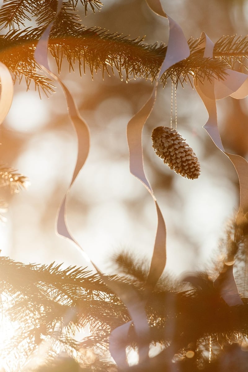 Pinecone Fire Starters